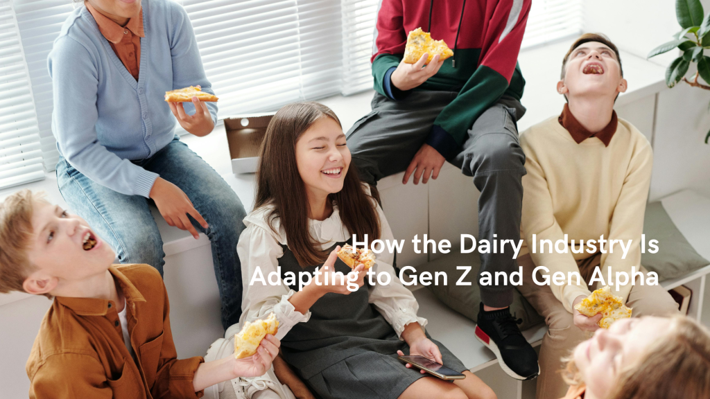 Cheese Dairy
