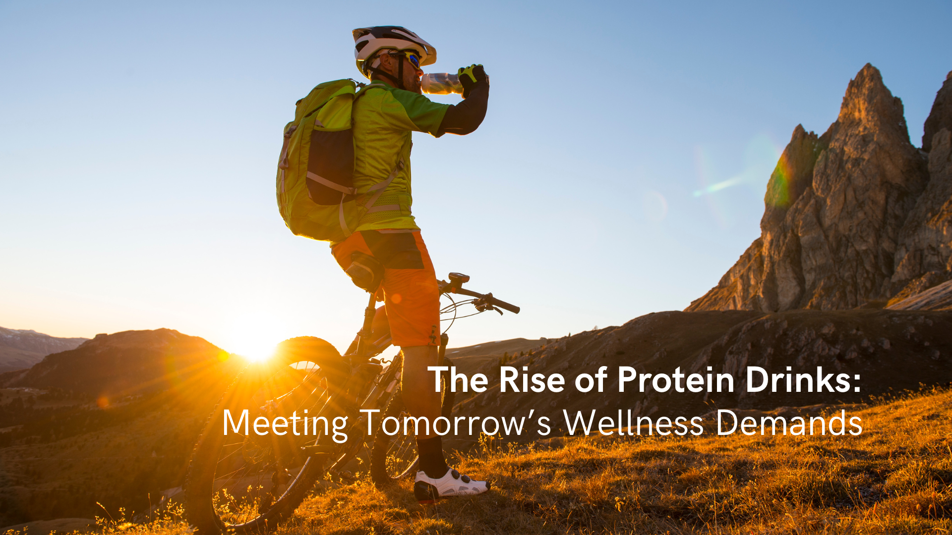 Lactifi Protein Drinks