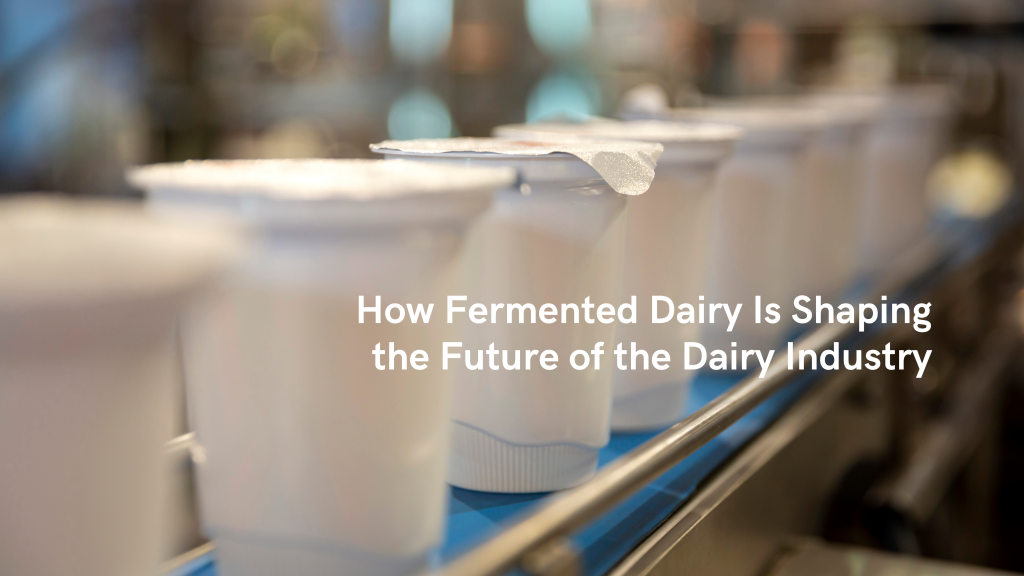 How Fermented Dairy Is Shaping the Future of the Dairy Industry